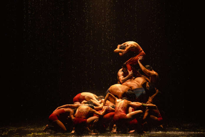 Festidança 2025 começa na sexta (5) em São José com mais de 180 coreografias Festidança 2025 começa na sexta (5) em São José com mais de 180 coreografias