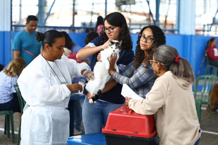 Prefeitura leva serviços públicos ao Jardim Jussara neste sábado (20)