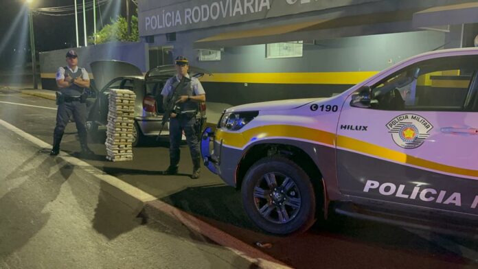 maconha regente feijó