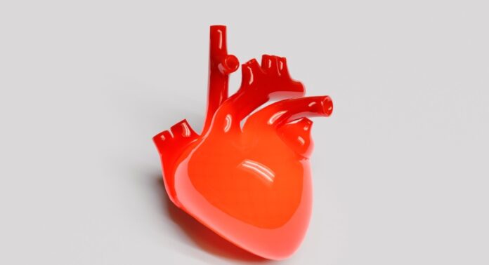 O coração sob a lente nuclear: como exames nucleares salvam vidas