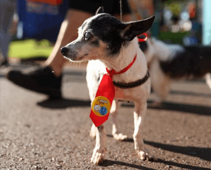 Captura de tela 2025-10-03 141843