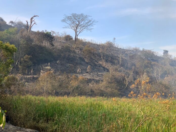 Defesa Civil retoma combate a incêndio que já consumiu 500 mil m² de vegetação em Caçapava