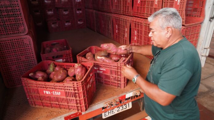 WhatsApp Image 2025-10-18 at 08.06.47