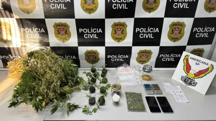 Operação prende homem por cultivo de maconha em chácara de Sumaré Operação prende homem por cultivo de maconha em chácara de Sumaré