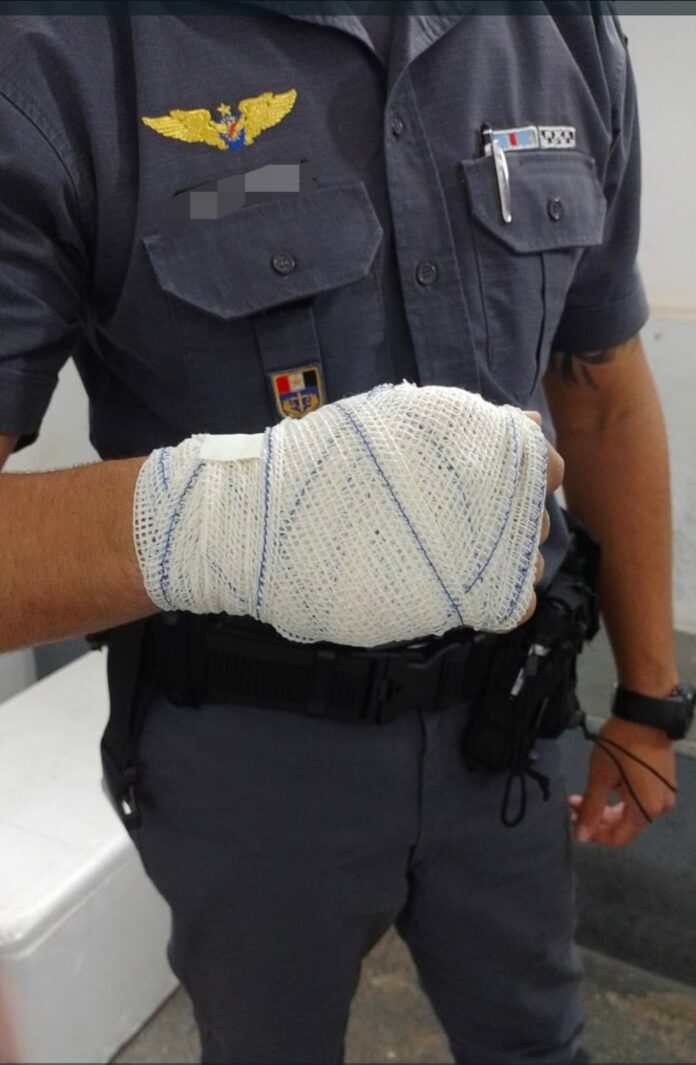 WhatsApp Image 2025-10-25 at 18.26.35