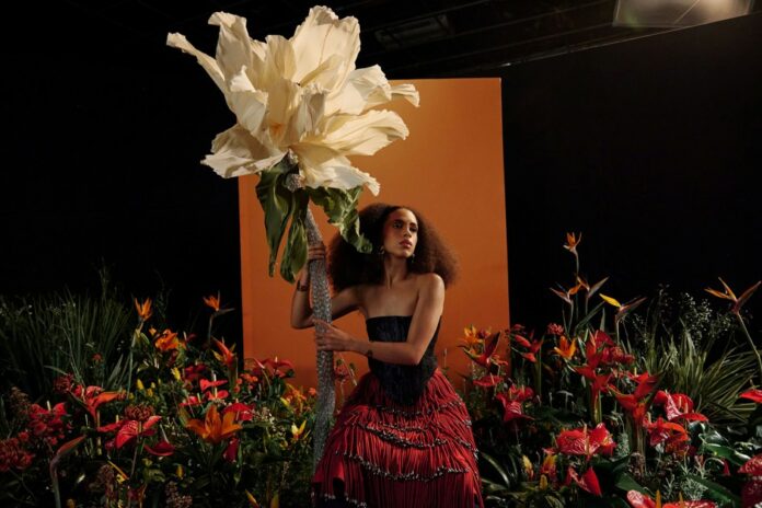 Mês da Música leva mais de 20 shows gratuitos a diferentes palcos de São José