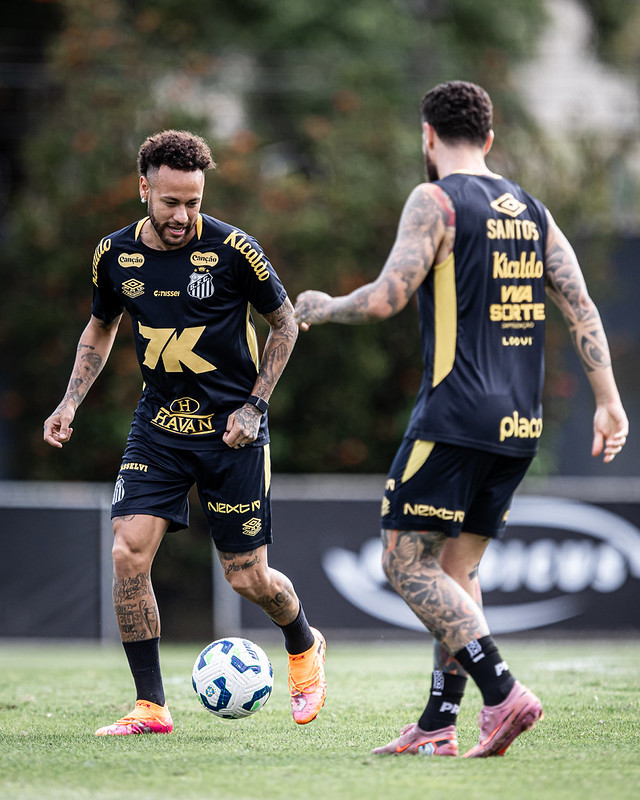 54902715214_efd7a915b3_c