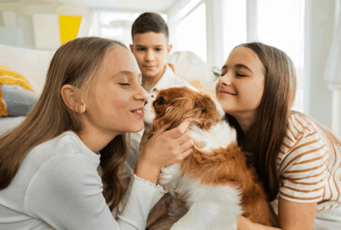 Captura de tela 2025-11-07 104700