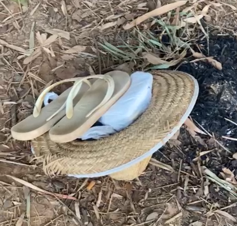 Homem morre afogado no Rio Jaguari ao tentar salvar sua cachorra em Americana