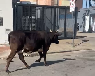 Captura de tela 2025-11-27 170926