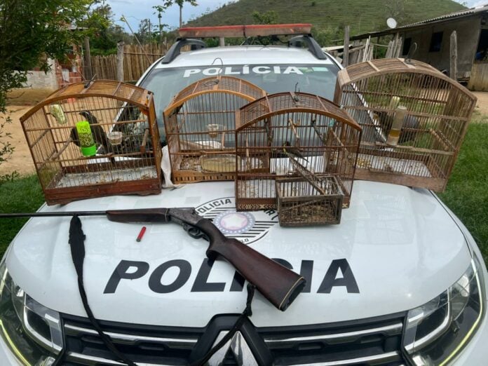 PM Ambiental apreende pássaros silvestres mantidos ilegalmente em Arapeí