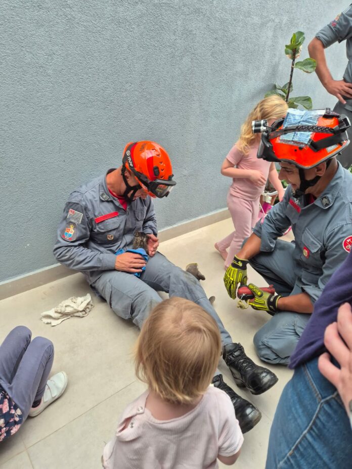 Bombeiros resgatam filhote de gato que havia caído em tubulação de esgoto em Cabreúva Bombeiros resgatam filhote de gato que havia caído em tubulação de esgoto em Cabreúva