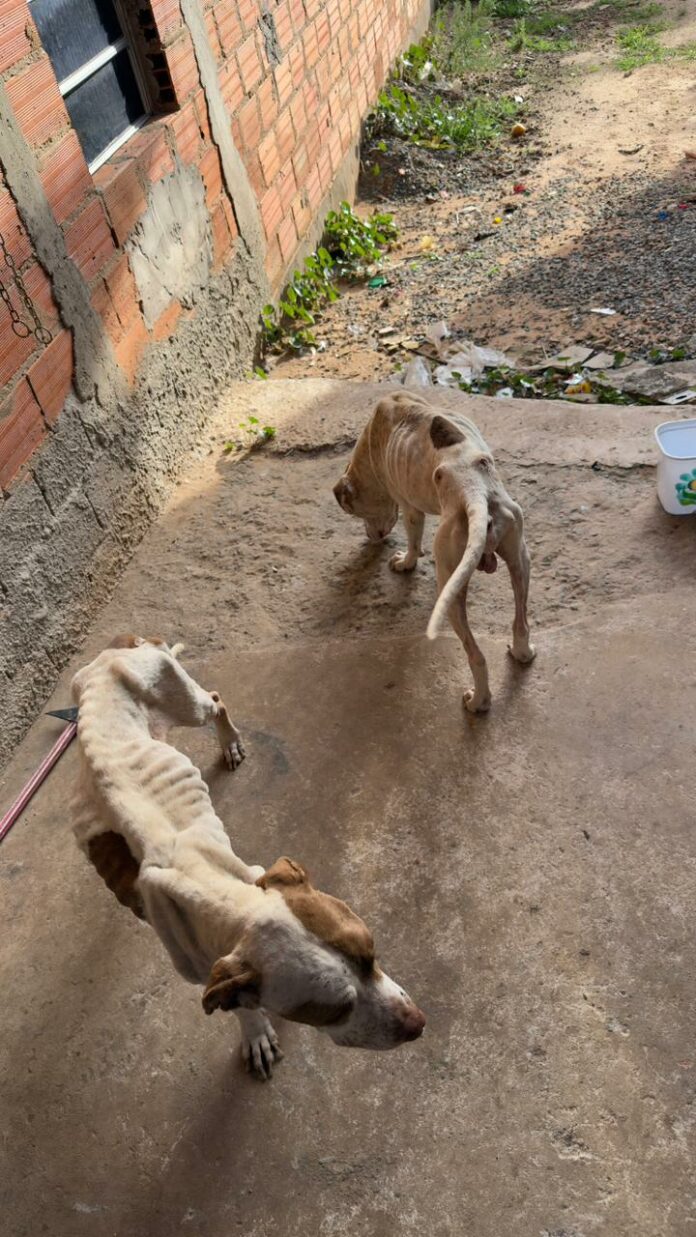 WhatsApp Image 2025-11-14 at 12.16.59 (1)