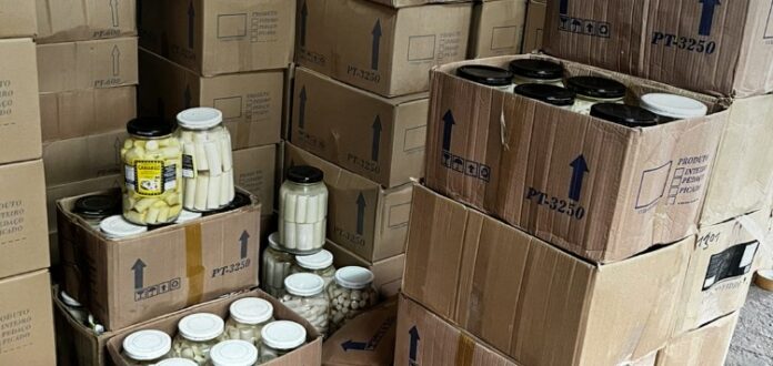 MP e Polícia Ambiental deflagram operação contra extração ilegal de palmito na região