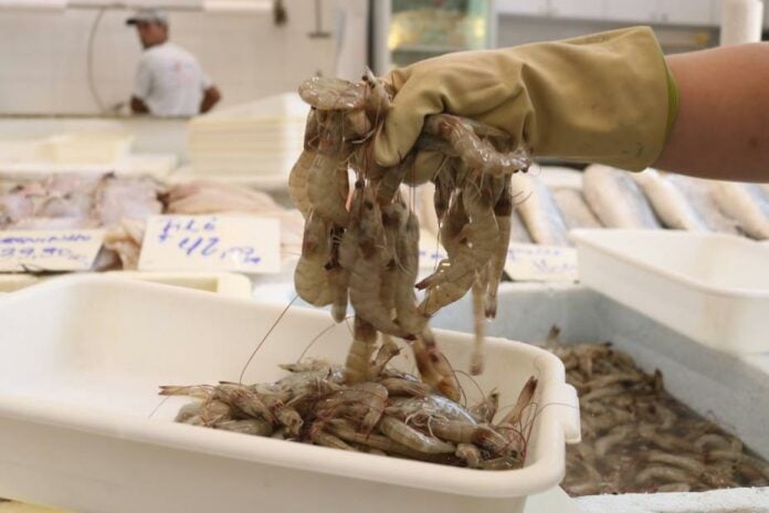 Festival do Camarão em Santos