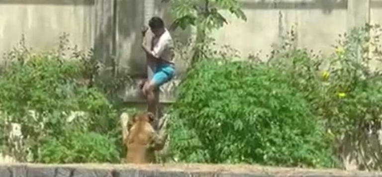 Caso foi registrado neste domingo (30) e em imagens que circulam nas redes sociais, é possível ver o momento