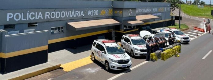 maconha regente feijó