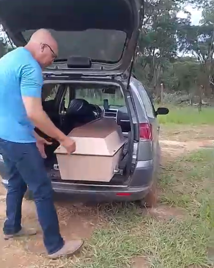 Ossada carbonizada é encontrada em terreno de Sumaré Ossada carbonizada é encontrada em terreno de Sumaré