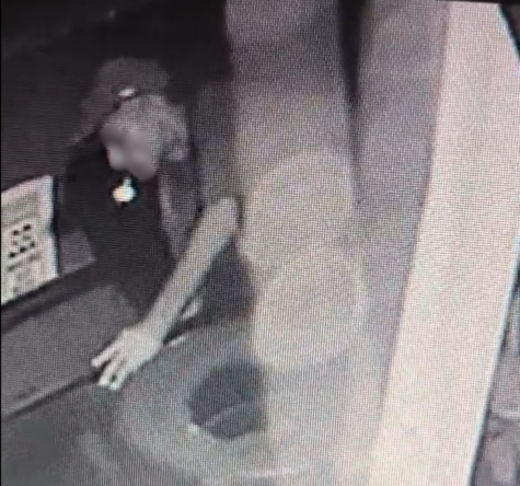 Ladrão usa rapel para descer de janela e furtar pneus de loja em Campinas Ladrão usa rapel para descer de janela e furtar pneus de loja em Campinas