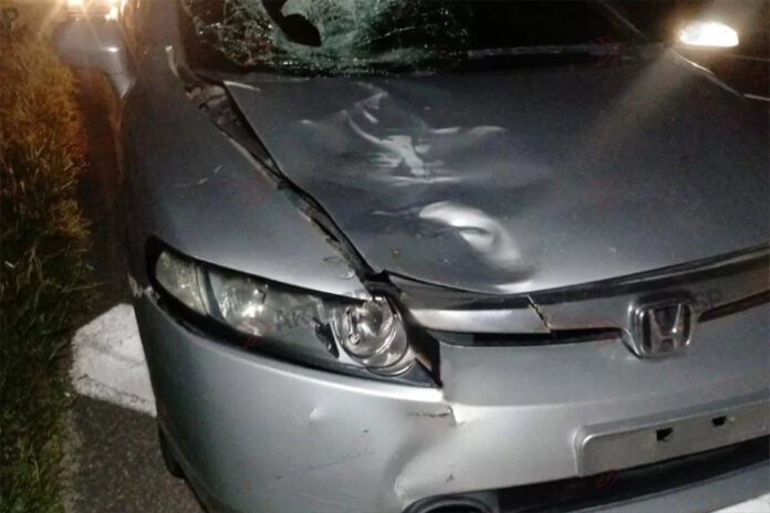 ITANHAEM ATROPELAMENTO