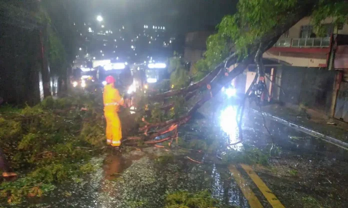 Ciclone causou estragos | Prefeitura Cotia Ciclone causou estragos | Prefeitura Cotia