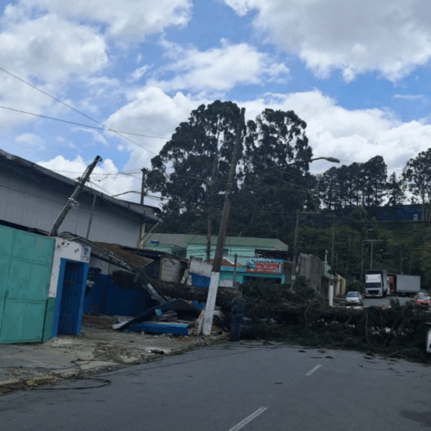 Queda de árvores interferem no fornecimento de energia | Reprodução Enel Queda de árvores interferem no fornecimento de energia | Reprodução Enel