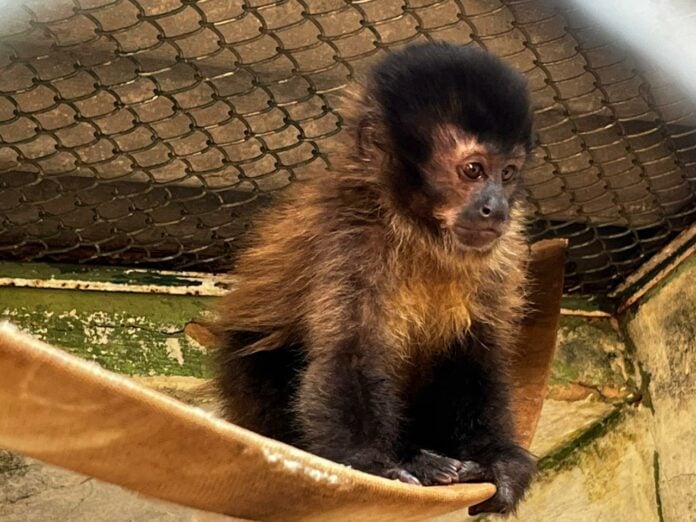 WhatsApp Image 2025-12-05 at 17.20.54