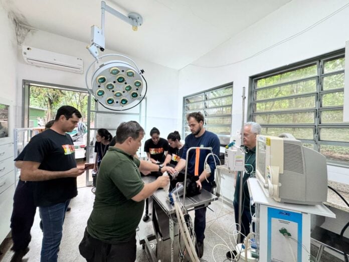 WhatsApp Image 2025-12-09 at 11.23.53