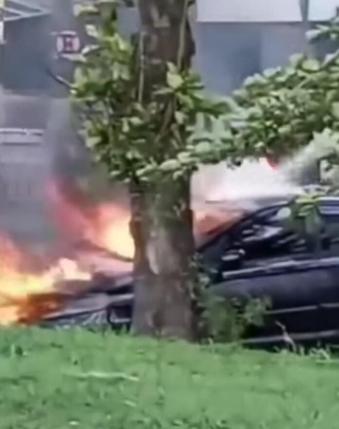 WhatsApp Image 2025-12-11 at 17.14.27