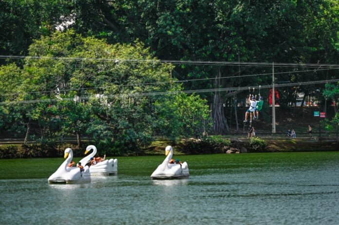 Após redução nas chuvas, Campinas reabre parques e bosques municipais Após redução nas chuvas, Campinas reabre parques e bosques municipais