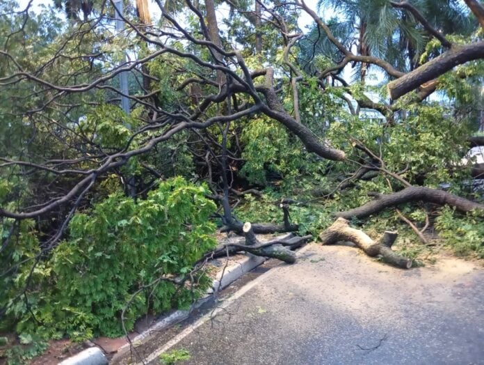 WhatsApp Image 2025-12-13 at 09.14.01 Prefeitura de Votuporanga