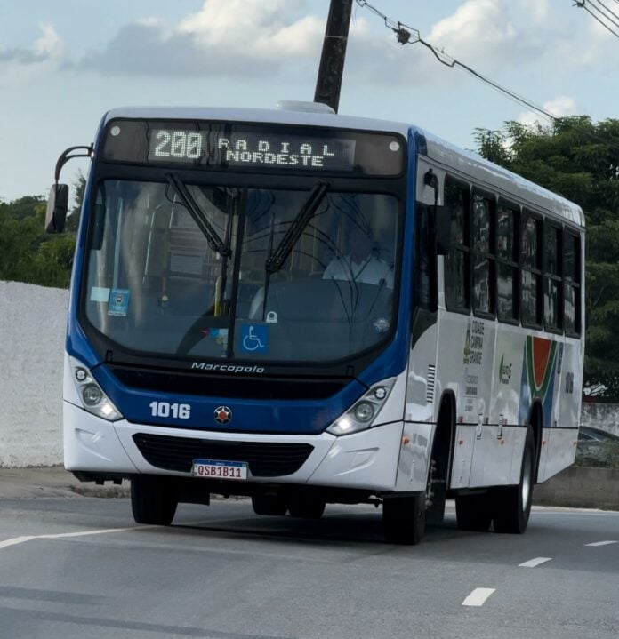 ônibus-campina-grande A STTP preparou esquema especial para garantir mobilidade, segurança e conforto aos usuários durante o feriado de Nossa Senhora da Conceição