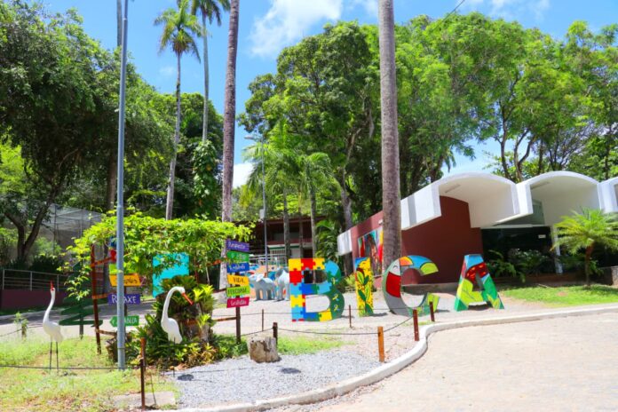 parquedabica O parque foi fechado imediatamente após a morte de um jovem de 19 anos, que entrou no recinto da leoa no último domingo (30)