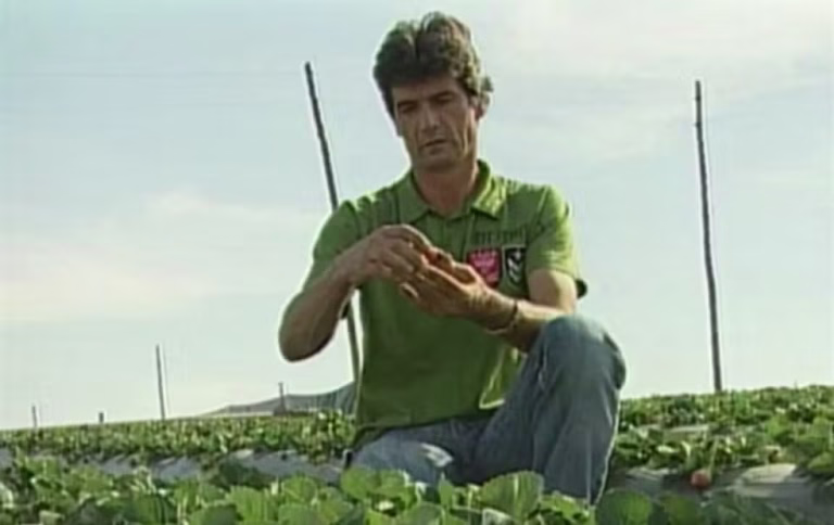 Mistério de 15 anos chega ao fim com condenação de assassino do “Rei do Morango”