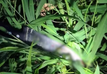 Jovem de 26 anos é preso suspeito de matar o próprio avô