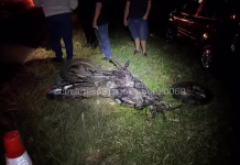 Motociclista morre após invadir contramão e colidir de frente com carro em rodovia