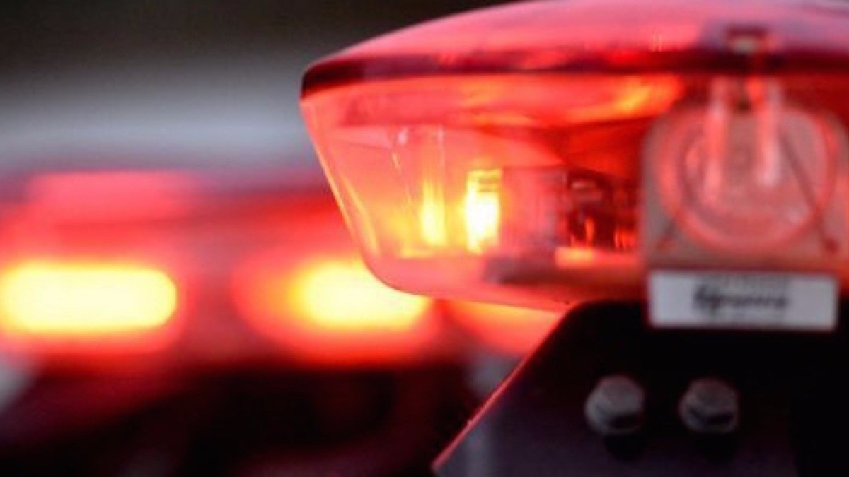 Mais de 200 cães e gatos morreram no Sertão da PB; polícia apreende celulares durante investigação