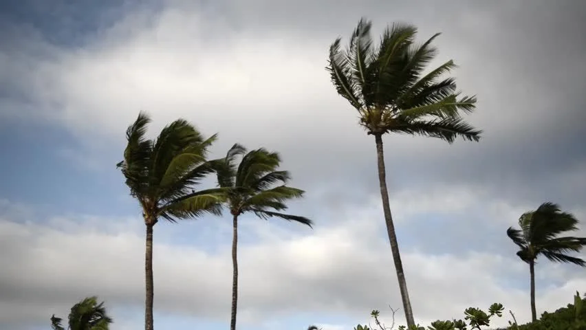 Alerta de vendaval: Inmet prevê ventos de até 60 km/h em 50 cidades da Paraíba
