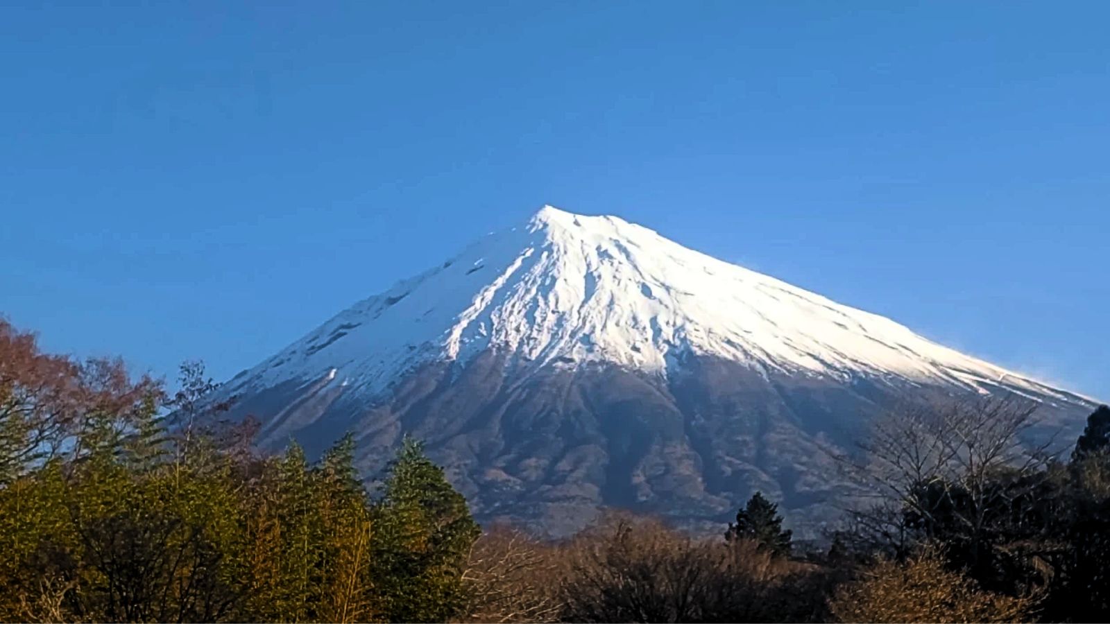 Pai deixa filho de 7 anos sozinho no Monte Fuji por oito horas após criança se cansar