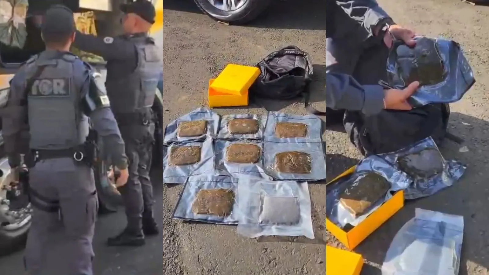 “Maconha do Playboy”: passageiro é preso com droga avaliada em R$ 56 mil em ônibus