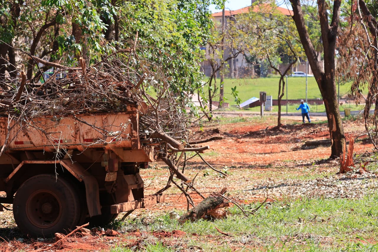 Ribeirão Preto amplia força-tarefa após temporal que derrubou 2 mil árvores