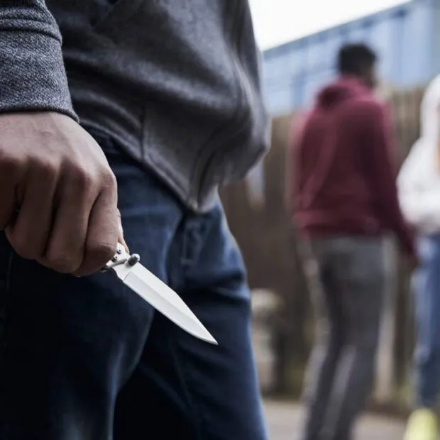 Aluno de 13 anos é esfaqueado nas costas por colega no recreio em Ribeirão Preto (SP)