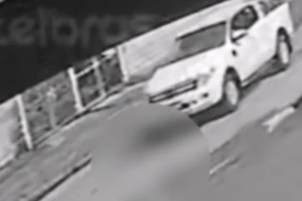 Cachorro morre após ser atropelado por carro e motorista foge sem prestar socorro em Peruíbe