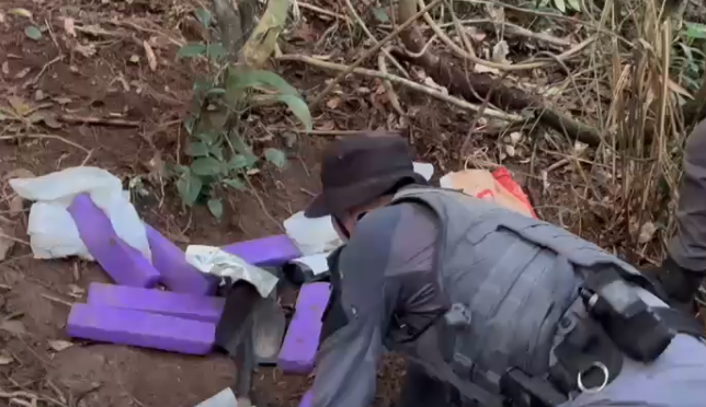 Operação Pronta Resposta apreende mais de 26 kg de drogas em comunidade do Guarujá; VÍDEO