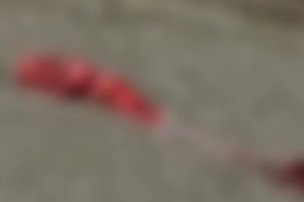 Feto é encontrado abandonado ao lado de lixeira em Santos; caso foi registrado como ‘morte suspeita’