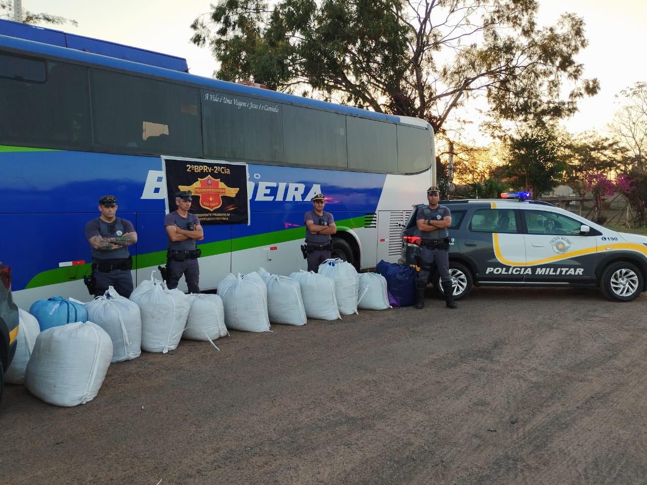Polícia prende boliviana com 300 kg de folhas de coca na SP-270