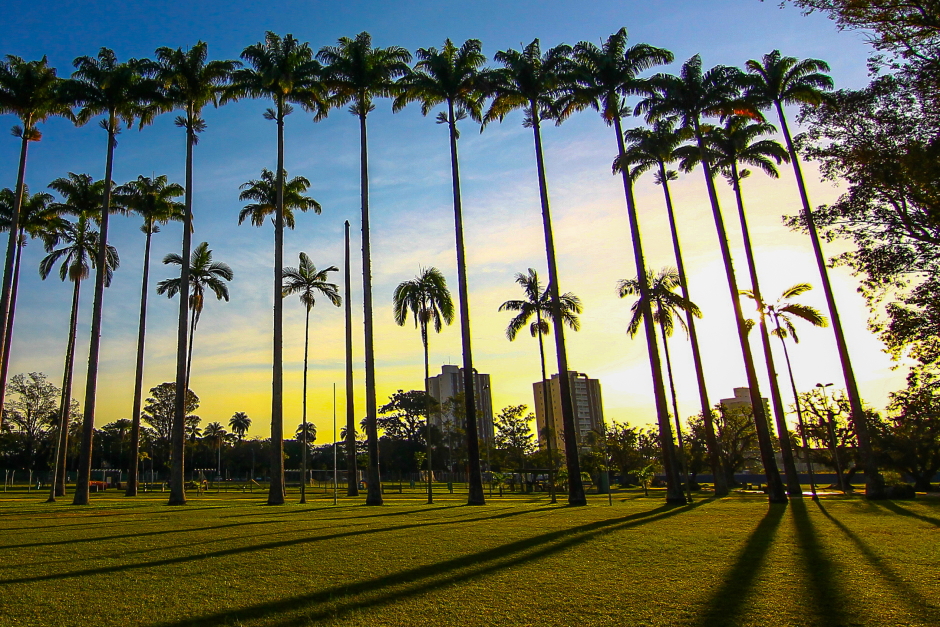 Parque da Cidade recebe sessão gratuita de cinema ao ar livre nesta sexta em São José