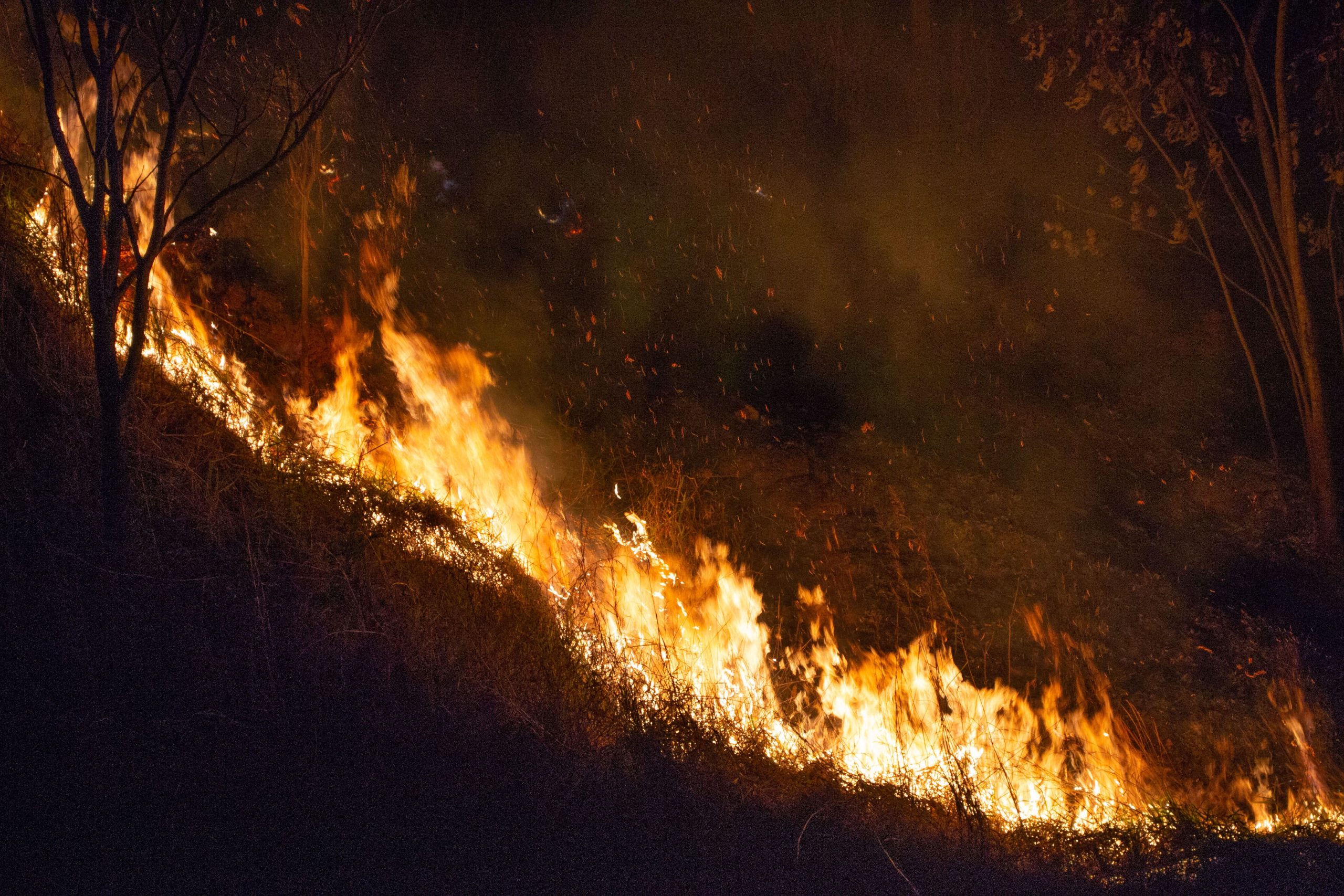 Incêndio em área de mata assusta moradores em Ribeirão Preto