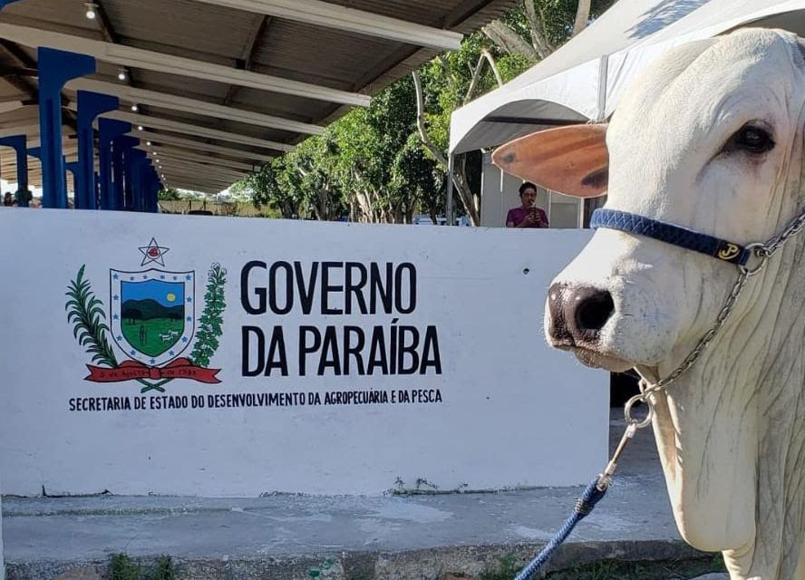 Paraíba flexibiliza prazo de existência para organizações que buscam parcerias com Secretaria de Agropecuária e Pesca