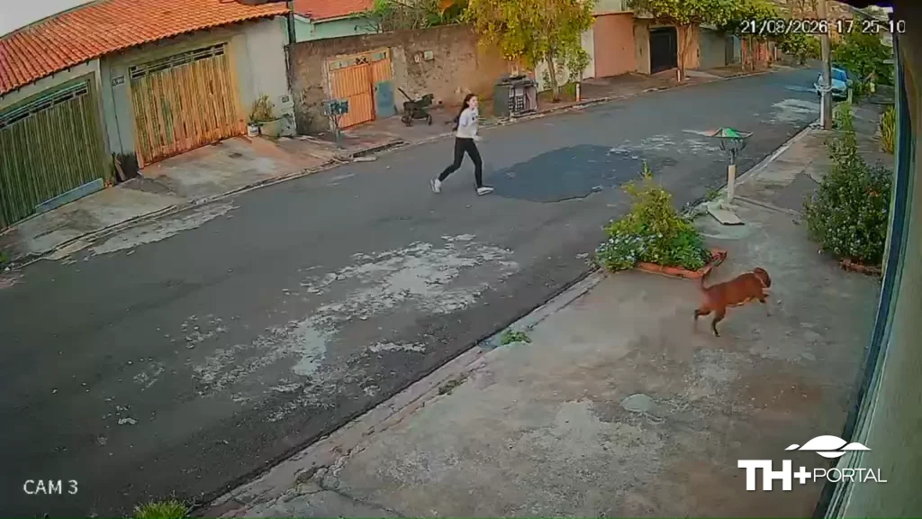 Vídeo: Pitbull foge e carrinho com bebê desce à rua em Ribeirão
